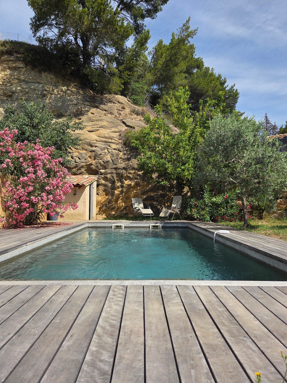 Piscine de la villa face aux vignes et au Mont Ventoux