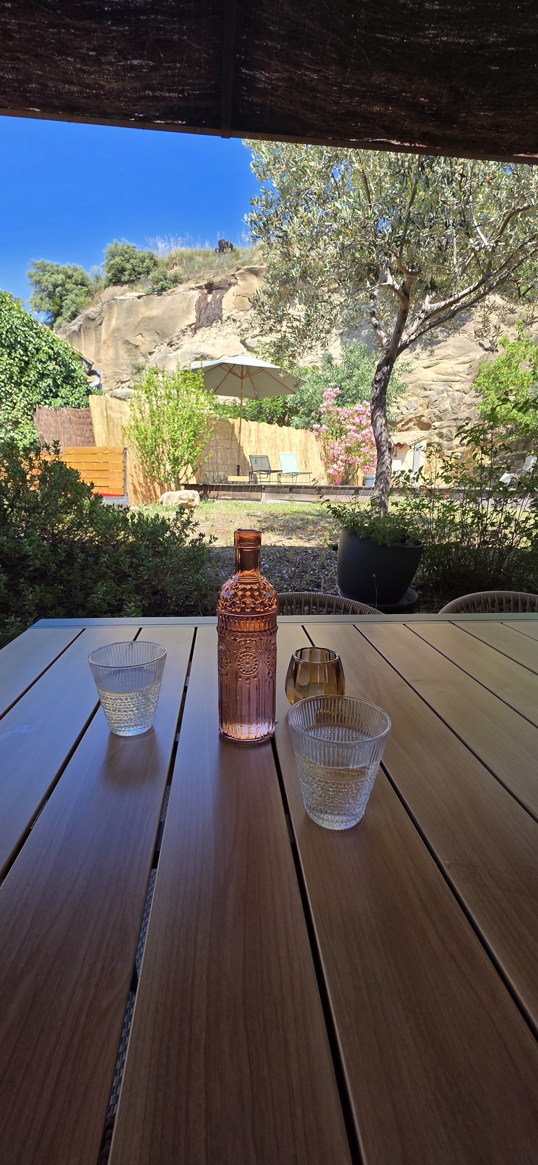 Bouteille et verres sur la table de la terrasse, vue sur le jardin et l'olivier